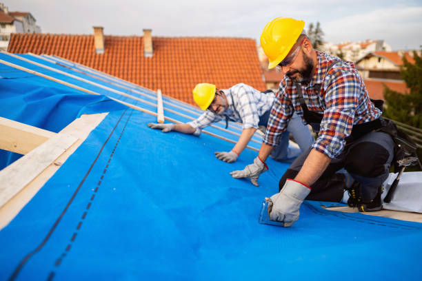 Best Flat Roof Repair Services  in Aviston, IL